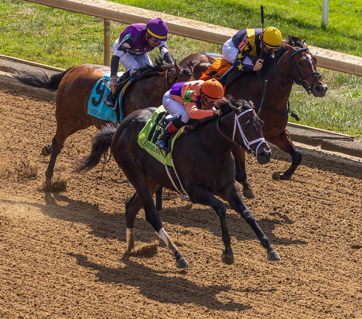 Keeneland, Breeders' Cup, Fall Stars, horse racing, America's Best Racing, ABR